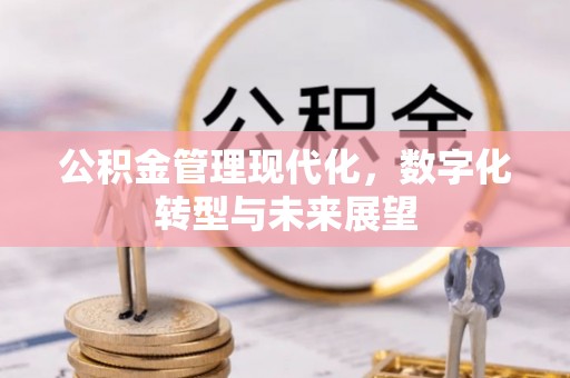 兴山公积金管理现代化，数字化转型与未来展望