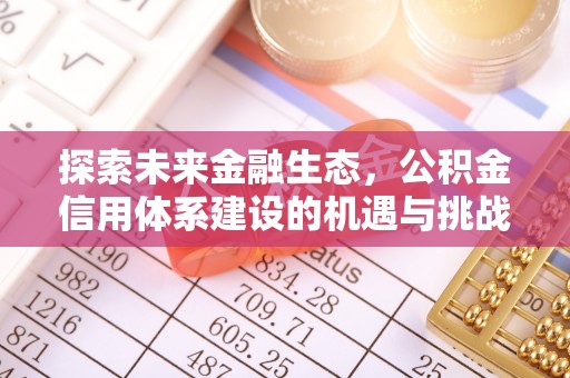 兴山探索未来金融生态，公积金信用体系建设的机遇与挑战