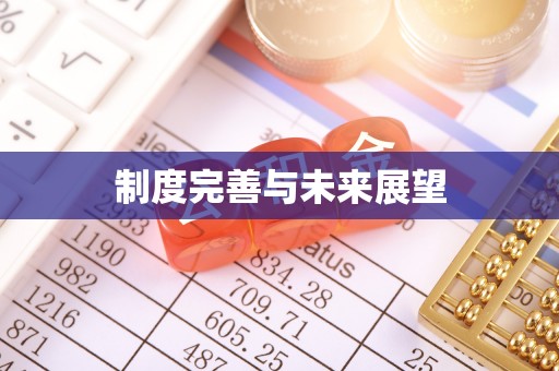 兴山制度完善与未来展望