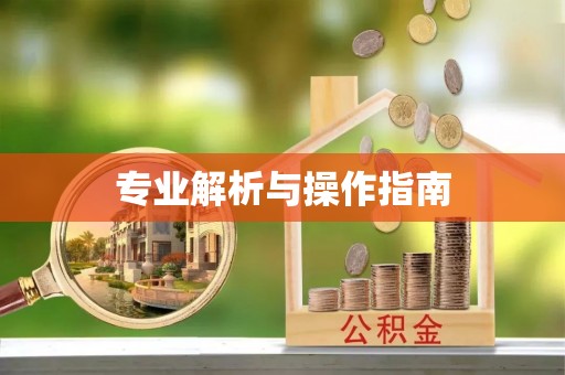 兴山专业解析与操作指南